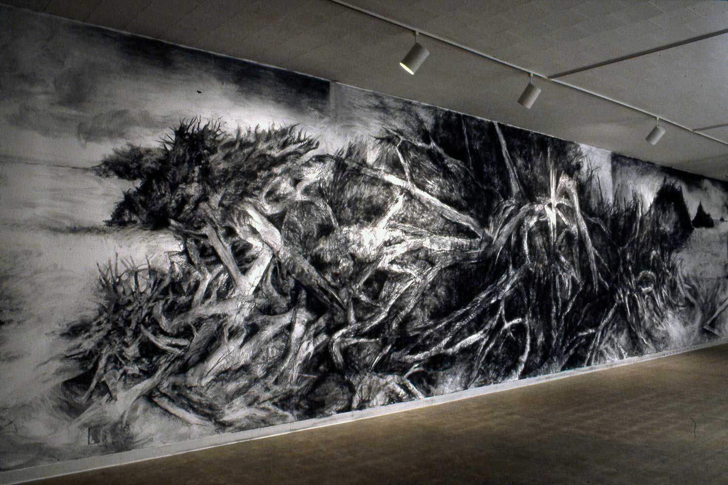 Charcoal on gallery wall 12’ x 52’, Gallery 25, Fresno CA, 2004